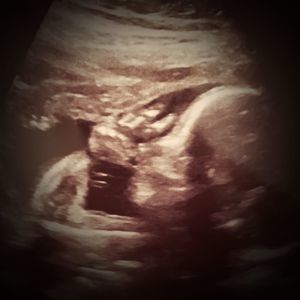 Meet your Posher, Claudia